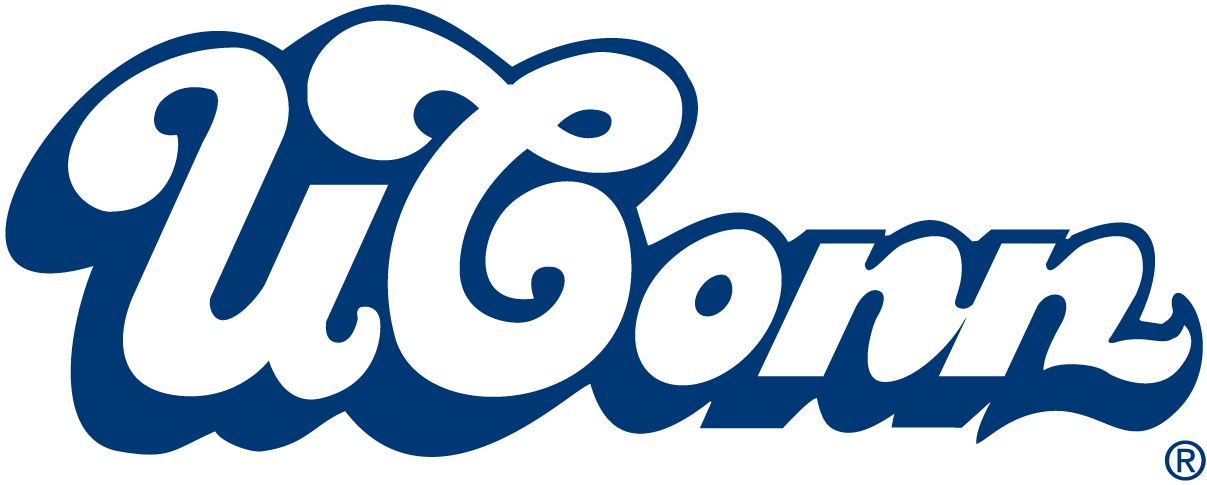 UConn Huskies 0-1995 Wordmark Logo diy fabric transfer